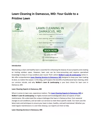Lawn Cleaning in Damascus, MD Your Guide to a Pristine Lawn