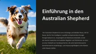 einf hrung in den australian shepherd