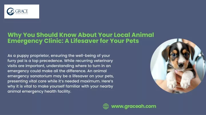 why you should know about your local animal