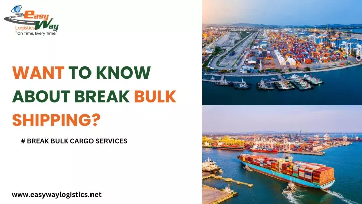 want to know about break bulk shipping