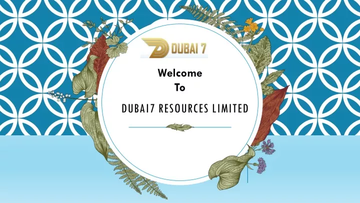 dubai7 resources limited