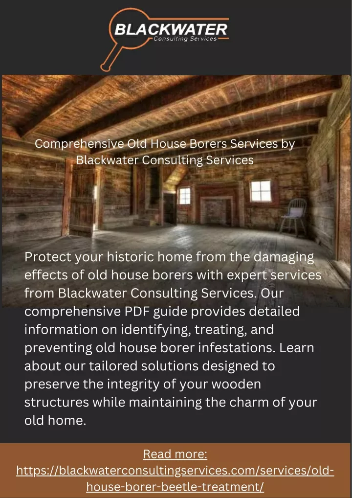 comprehensive old house borers services