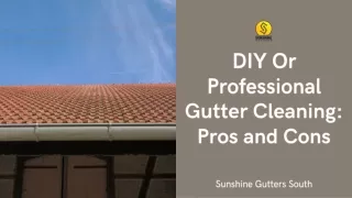 DIY Or Professional Gutter Cleaning: Pros and Cons