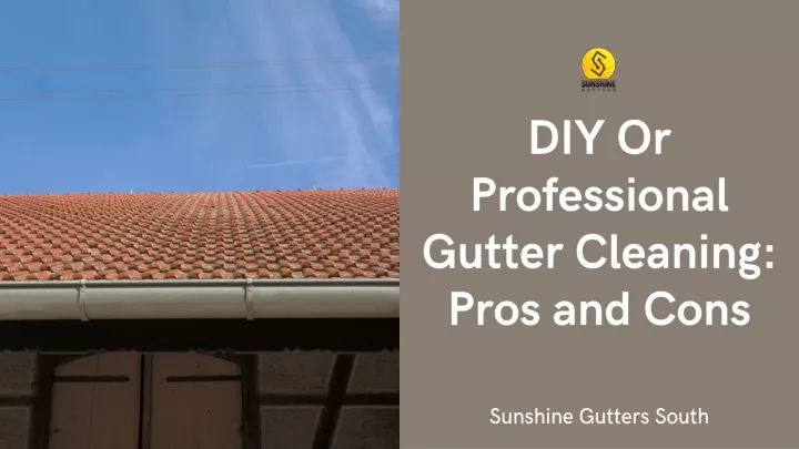 diy or professional gutter cleaning pros and cons