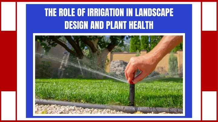 the role of irrigation in landscape design