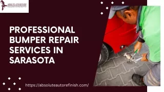 Professional Bumper Repair Services in Sarasota