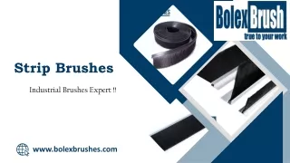 Strip Brushes