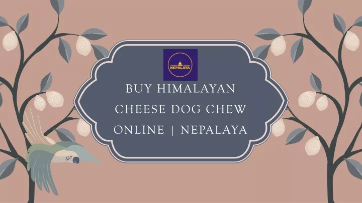 buy himalayan cheese dog chew online nepalaya