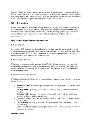 seo agency in czech republic
