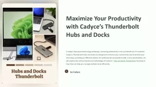 maximize your productivity with cadyce