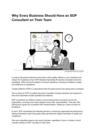 why every business should have an sop consultant