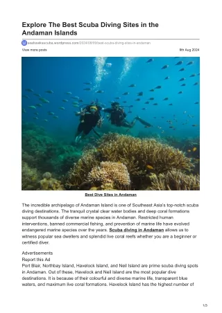 Experience scuba diving at the best dive sites in Andaman