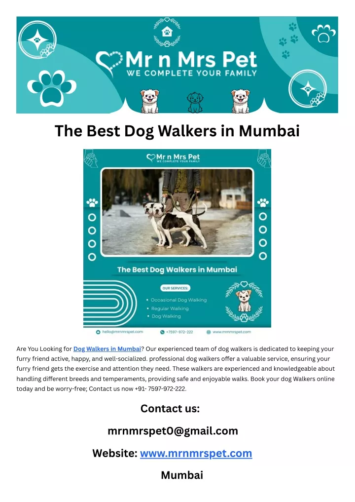 the best dog walkers in mumbai