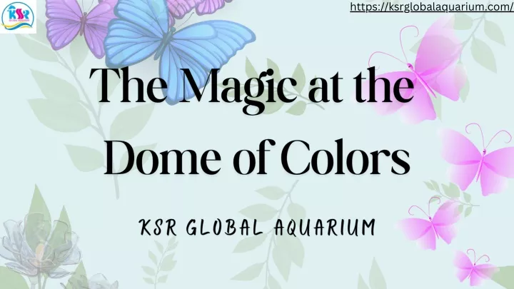 https ksrglobalaquarium com