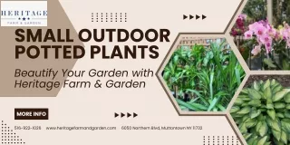 Small Outdoor Potted Plants – Beautify Your Garden with Heritage Farm & Garden