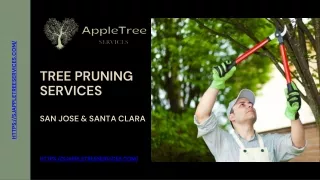 Professional Tree Pruning in San Jose & Santa Clara - Apple Tree Services