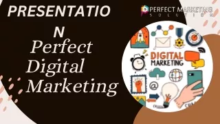 charleston Seo Expert