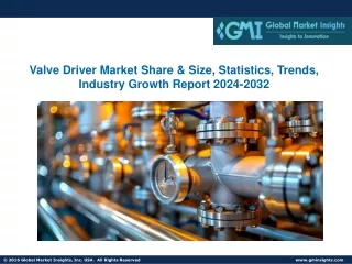 Valve Driver Market Share & Size, Statistics, Trends, Growth Report 2024-2032