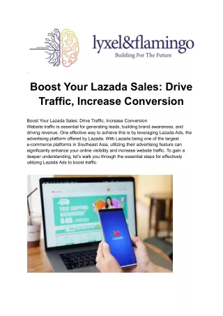 Boost Your Lazada Sales with Lyxel & Flamingo’s Proven Strategies