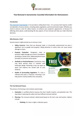 Tree Removal in Sacramento: Essential Information for Homeowners