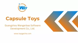Capsule Toys