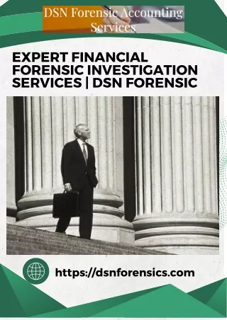 Expert Financial Forensic Investigation Services  DSN Forensic