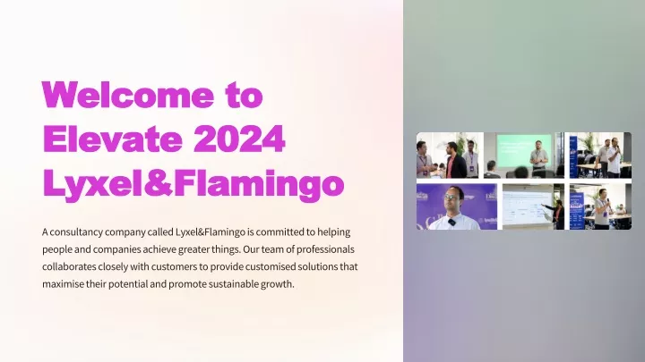 welcome to elevate 2024 lyxel flamingo