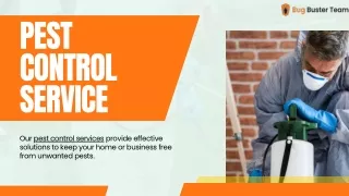 Effective Pest Control Solutions - Bug Buster Team