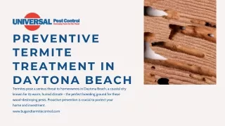 Protect Your Home with Termite Treatment in Daytona Beach