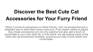 Discover the Best Cute Cat Accessories for Your Furry Friend