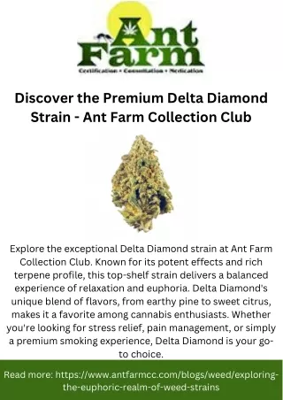 Discover the Premium Delta Diamond Strain - Ant Farm Collection Club