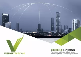 vision telecom ISP services providers