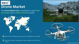 drone market