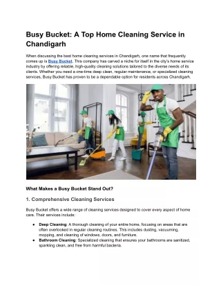 busy bucket a top home cleaning service