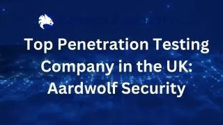 Top Penetration Testing Company in the UK: Aardwolf Security