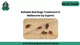 Reliable Bed Bugs Treatment in Melbourne by Experts