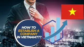 Establishing a Company in Vietnam A Legal Perspective