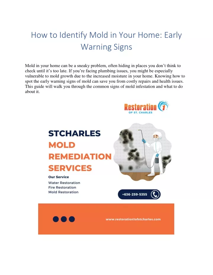 how to identify mold in your home early warning