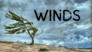 WINDS