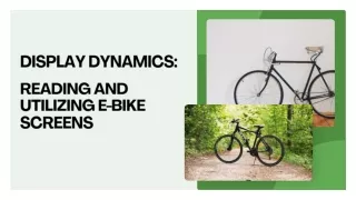 display dynamics
