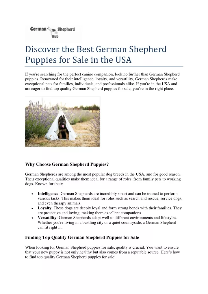 discover the best german shepherd puppies