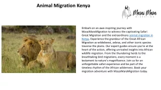 Animal Migration Kenya