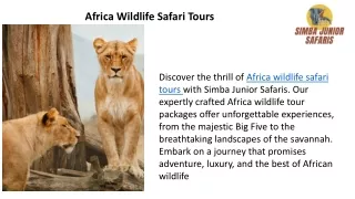 Africa wildlife safari tours