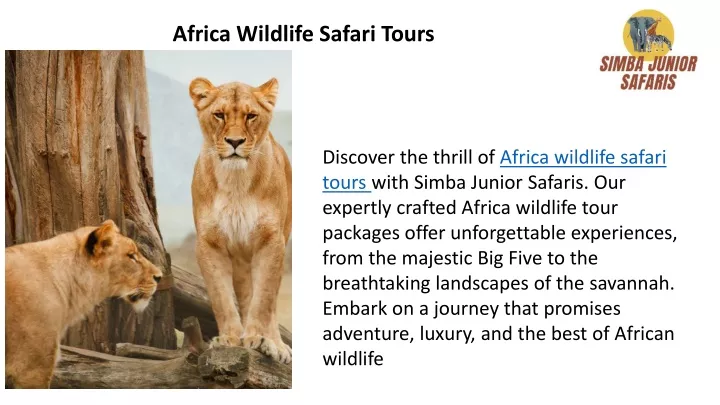 africa wildlife safari tours