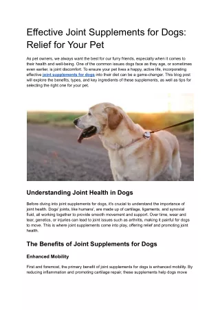 Effective Joint Supplements for Dogs_ Relief for Your Pet