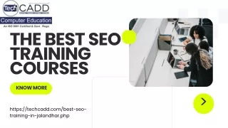 Best SEO Training Courses In Jalandhar
