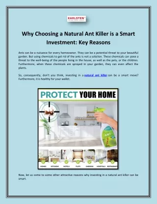 Why Choosing a Natural Ant Killer is a Smart Investment: Key Reasons