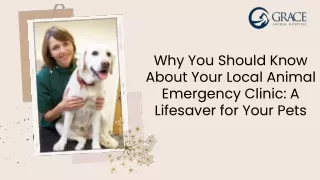 Why You Should Know About Your Local  downey animal care center ca A Lifesaver f