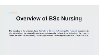 overview of bsc nursing