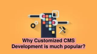 why customized cms development is much popular